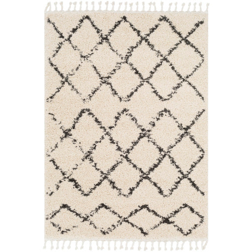 Surya Berber Shag BBE-2300 Multi-Color Rug-Rugs-Exeter Paint Stores