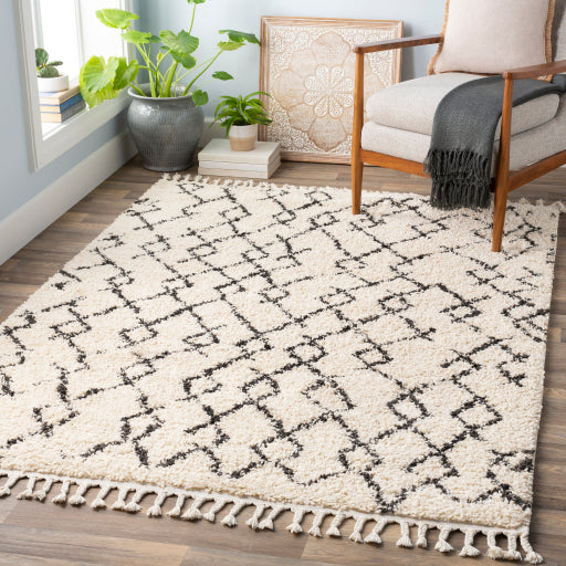 Surya Berber Shag BBE-2301 Multi-Color Rug-Rugs-Exeter Paint Stores