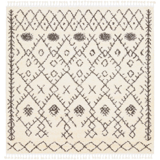 Surya Berber Shag BBE-2302 Multi-Color Rug-Rugs-Exeter Paint Stores