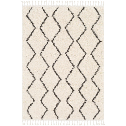 Surya Berber Shag BBE-2303 Multi-Color Rug-Rugs-Exeter Paint Stores