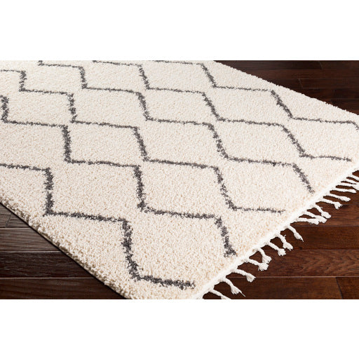 Surya Berber Shag BBE-2303 Multi-Color Rug-Rugs-Exeter Paint Stores