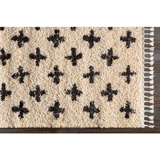 Surya Berber Shag BBE-2310 Multi-Color Rug-Rugs-Exeter Paint Stores