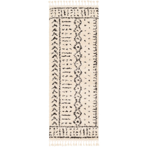 Surya Berber Shag BBE-2311 Multi-Color Rug-Rugs-Exeter Paint Stores