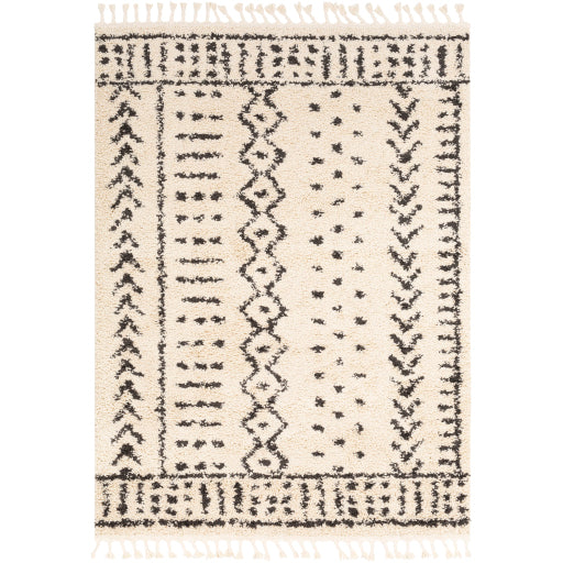 Surya Berber Shag BBE-2311 Multi-Color Rug-Rugs-Exeter Paint Stores