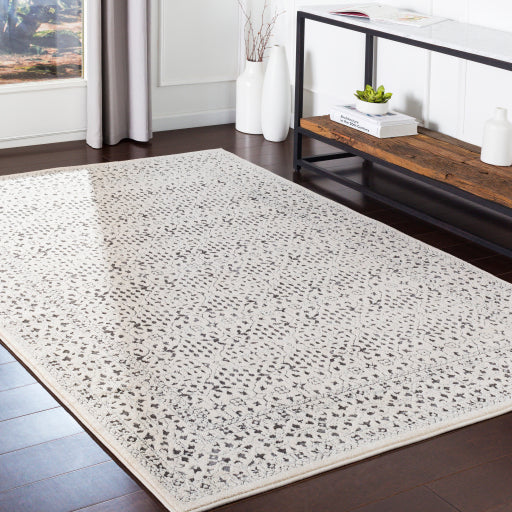 Surya Bahar BHR-2308 Multi-Color Rug-Rugs-Exeter Paint Stores