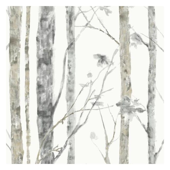 Birch Trees Peel and Stick Wallpaper Roll RMK9047WP-Exeter Paint Stores