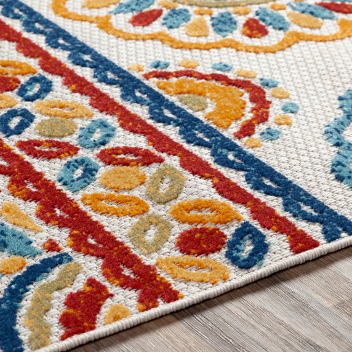 Surya Big Sur BSR-2307 Multi-Color Rug-Rugs-Exeter Paint Stores