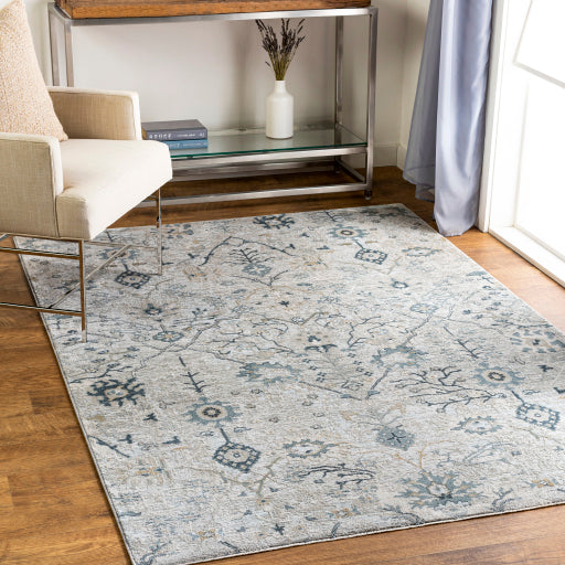 Surya Brunswick BWK-2316 Multi-Color Rug-Rugs-Exeter Paint Stores