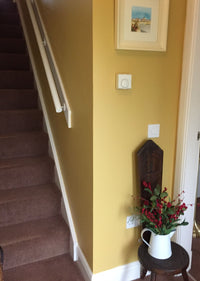 Farrow & Ball Sudbury Yellow NO.51-Exeter Paint Stores