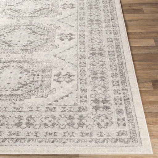 Surya Chester CHE-2309 Multi-Color Rug-Rugs-Exeter Paint Stores