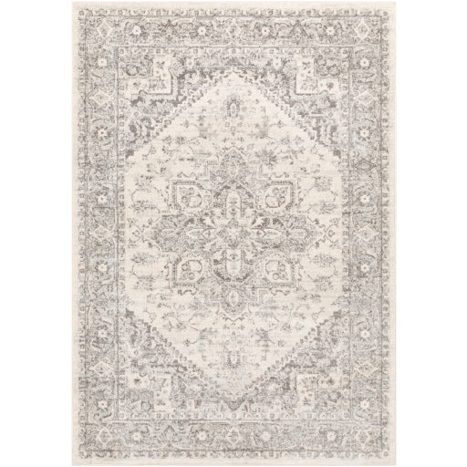 Surya Chester CHE-2312 Multi-Color Rug-Rugs-Exeter Paint Stores