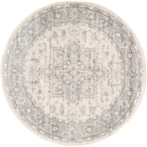 Surya Chester CHE-2312 Multi-Color Rug-Rugs-Exeter Paint Stores