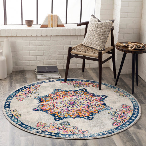 Surya Chester CHE-2317 Multi-Color Rug-Rugs-Exeter Paint Stores