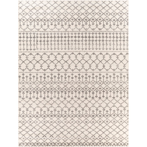 Surya Chester CHE-2319 Multi-Color Rug-Rugs-Exeter Paint Stores