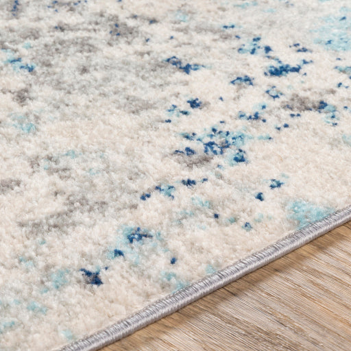 Surya Chester CHE-2342 Multi-Color Rug-Rugs-Exeter Paint Stores