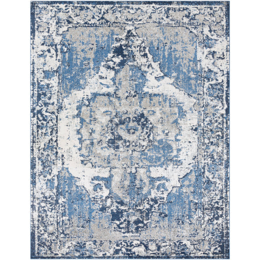 Surya Chelsea CSA-2300 Multi-Color Rug-Rugs-Exeter Paint Stores