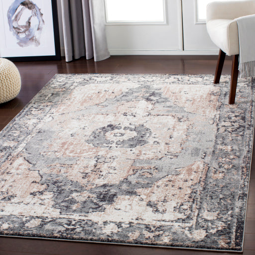 Surya Chelsea CSA-2304 Multi-Color Rug-Rugs-Exeter Paint Stores