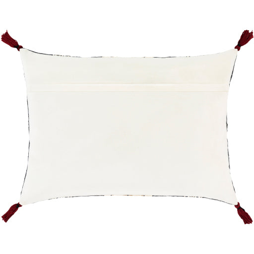 Surya Dashing DSG-002 Pillow Cover-Pillows-Exeter Paint Stores