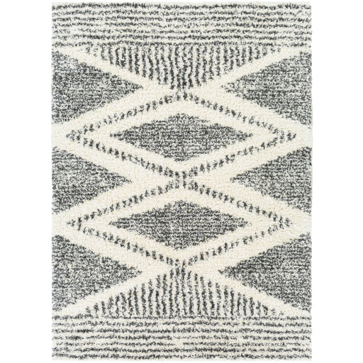 Surya Deluxe Shag DXS-2309 Multi-Color Rug-Rugs-Exeter Paint Stores