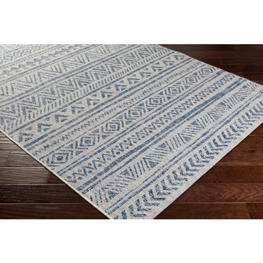 Surya Eagean EAG-2306 Multi-Color Rug-Rugs-Exeter Paint Stores