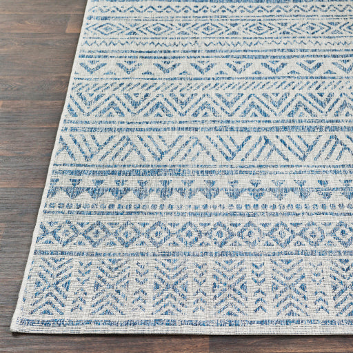 Surya Eagean EAG-2306 Multi-Color Rug-Rugs-Exeter Paint Stores