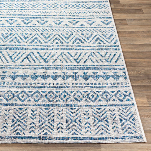 Surya Eagean EAG-2335 Multi-Color Rug-Rugs-Exeter Paint Stores