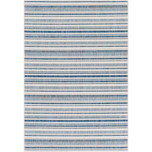 Surya Eagean EAG-2337 Multi-Color Rug-Rugs-Exeter Paint Stores