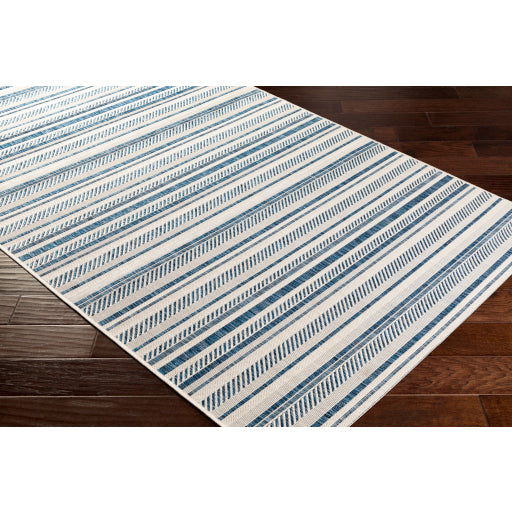 Surya Eagean EAG-2337 Multi-Color Rug-Rugs-Exeter Paint Stores
