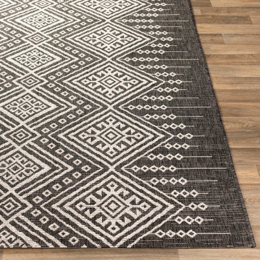 Surya Eagean EAG-2338 Multi-Color Rug-Rugs-Exeter Paint Stores