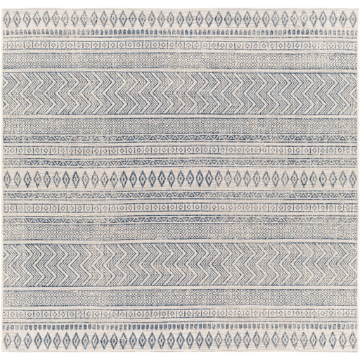Surya Eagean EAG-2344 Multi-Color Rug-Rugs-Exeter Paint Stores