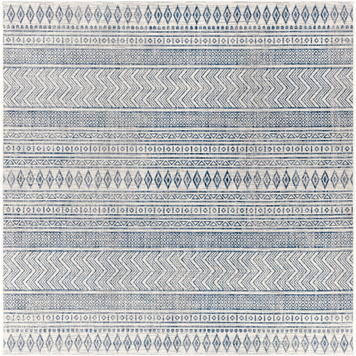 Surya Eagean EAG-2344 Multi-Color Rug-Rugs-Exeter Paint Stores