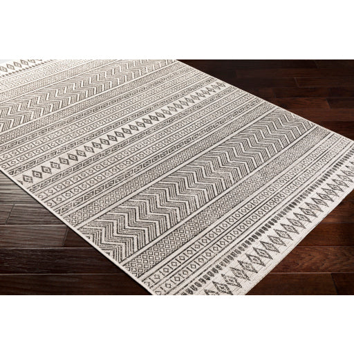 Surya Eagean EAG-2345 Multi-Color Rug-Rugs-Exeter Paint Stores