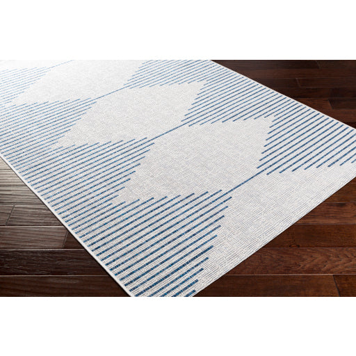 Surya Eagean EAG-2349 Multi-Color Rug-Rugs-Exeter Paint Stores
