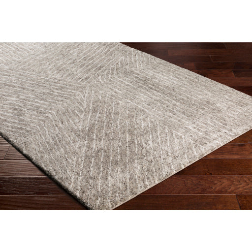 Surya Falcon FLC-8003 Multi-Color Rug-Rugs-Exeter Paint Stores
