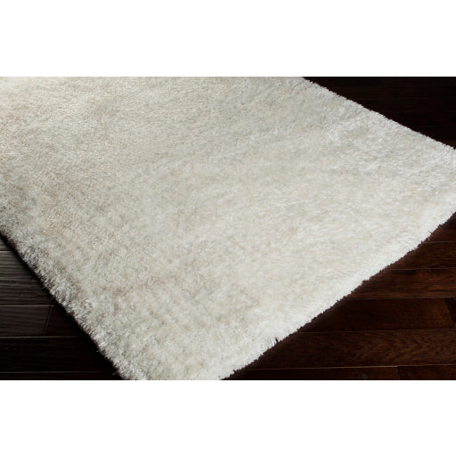 Surya Grizzly GRIZZLY-9 Multi-Color Rug-Rugs-Exeter Paint Stores