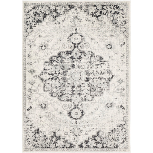 Surya Harput Multi-Color Rug 7'10" x 10'3" HAP-1061-Rugs-Exeter Paint Stores