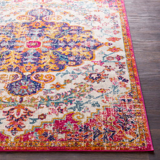 Surya Harput Multi-Color Rug HAP-1066-Rugs-Exeter Paint Stores