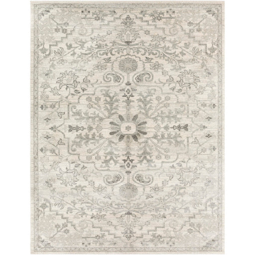 Surya Harput Multi-Color Rug 7'10" x 10'3" HAP-1069-Rugs-Exeter Paint Stores