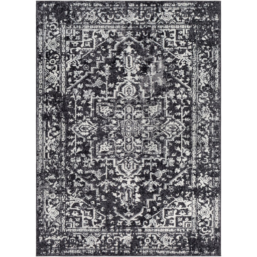 Surya Harput HAP-1087 Multi-Color Rug-Rugs-Exeter Paint Stores