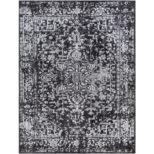 Surya Harput HAP-1087 Multi-Color Rug-Rugs-Exeter Paint Stores