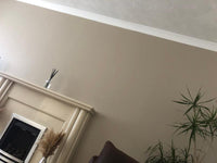 Farrow & Ball Jitney NO.293-Exeter Paint Stores