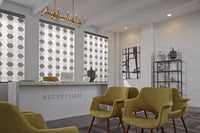 Transitional Shades-Exeter Paint Stores