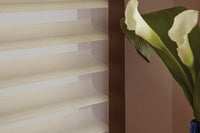 Sheer Shadings-Exeter Paint Stores