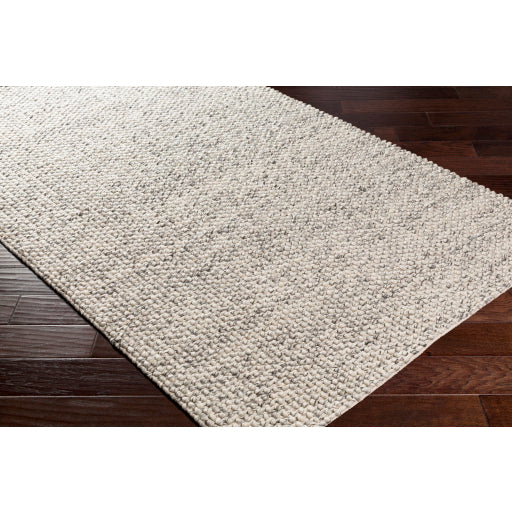Surya Lucerne LNE-1001 Multi-Color Rug-Rugs-Exeter Paint Stores