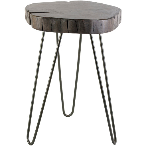 Surya Larissa End Table-Accent Furniture-Exeter Paint Stores