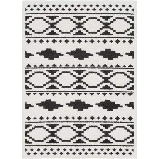 Surya Moroccan Shag MCS-2305 Multi-Color Rug-Rugs-Exeter Paint Stores