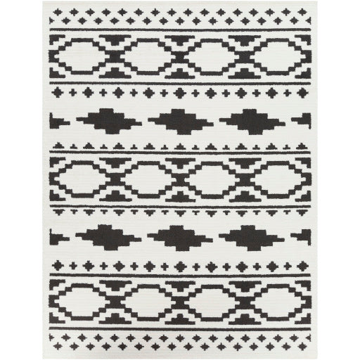 Surya Moroccan Shag MCS-2305 Multi-Color Rug-Rugs-Exeter Paint Stores