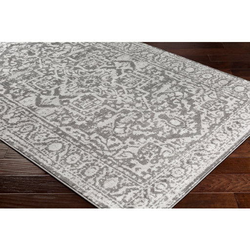 Surya Monte Carlo MNC-2300 Multi-Color Rug-Rugs-Exeter Paint Stores