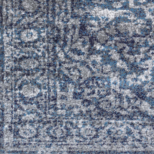Surya Monte Carlo MNC-2301 Multi-Color Rug-Rugs-Exeter Paint Stores