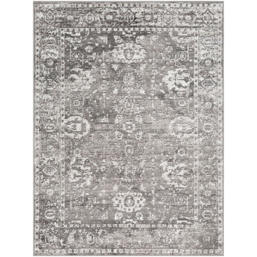 Surya Monte Carlo MNC-2311 Multi-Color Rug-Rugs-Exeter Paint Stores
